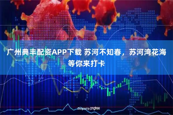 广州典丰配资APP下载 苏河不知春，苏河湾花海等你来打卡