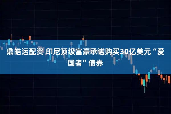 鼎皓运配资 印尼顶级富豪承诺购买30亿美元“爱国者”债券