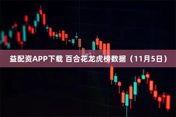 益配资APP下载 百合花龙虎榜数据（11月5日）