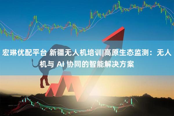 宏琳优配平台 新疆无人机培训|高原生态监测：无人机与 AI 协同的智能解决方案